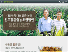 Tablet Screenshot of jindowg.com